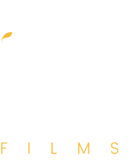 IBN Films