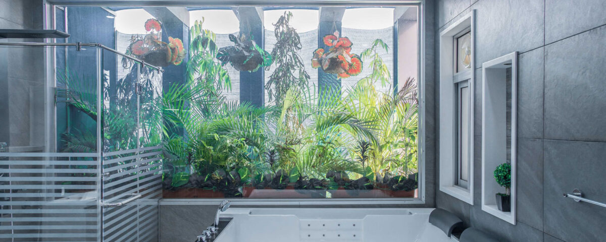 Modern interior space in Dubai featuring a built-in fish aquarium, photographed by IBN Films.