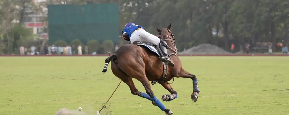 Polo horse riding action showing rider in motion during a match in Dubai, UAE photographed by IBN Films