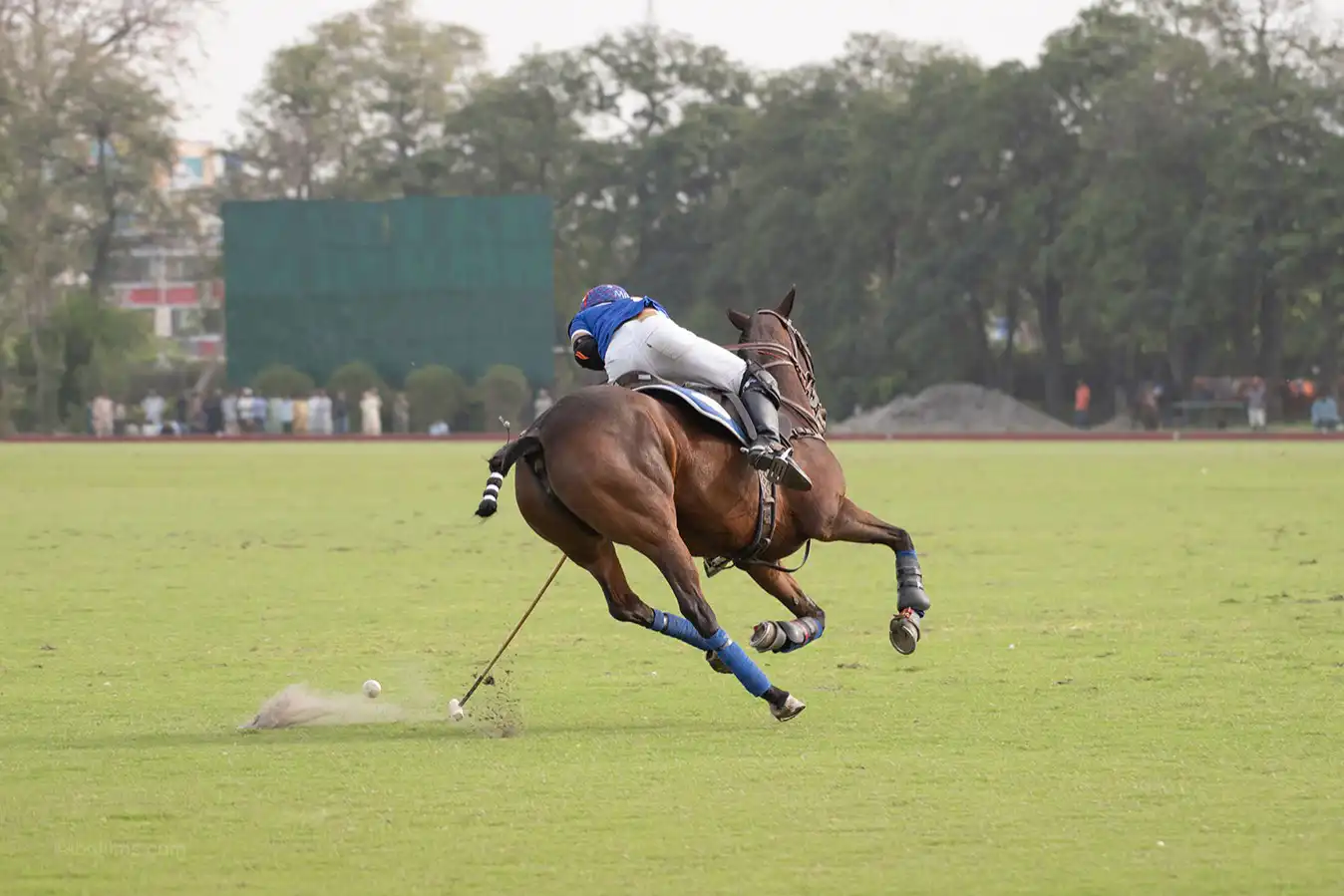 Polo horse riding action showing rider in motion during a match in Dubai, UAE photographed by IBN Films