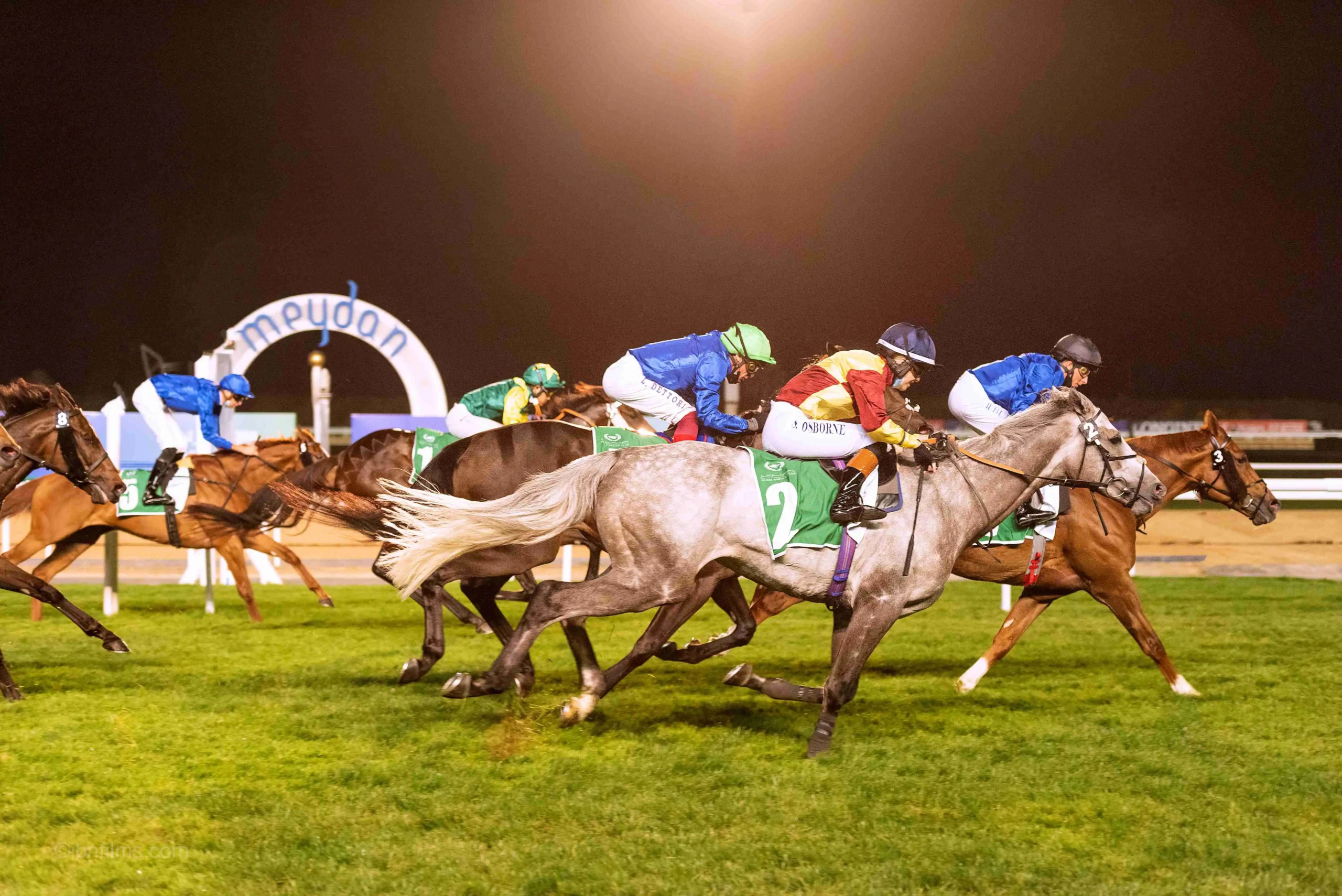 Professional polo players competing in a fast-paced tournament match in Dubai, UAE photographed by IBN Films