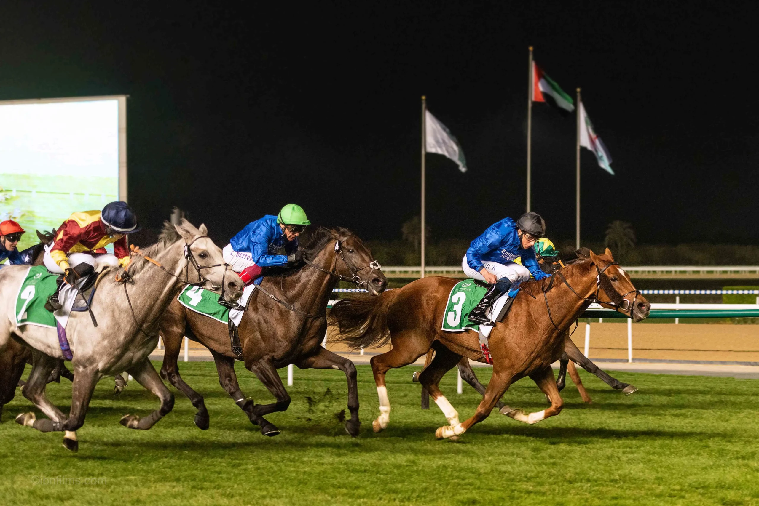 Polo tournament photography capturing riders in action during a professional match in Dubai, UAE by IBN Films