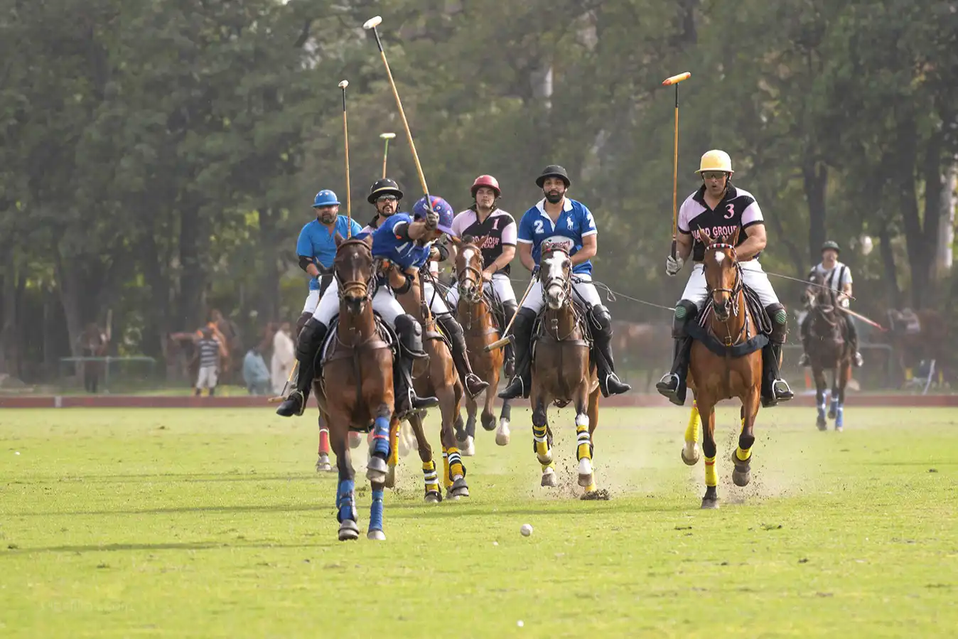 Professional polo photography capturing fast-paced match action in Dubai, UAE by IBN Films