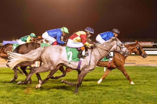 flat racing_horse_sports_photography_2
